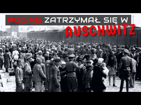 Pociąg zatrzymał się w Auschwitz. 🔴 Niesamowite historie świadków.