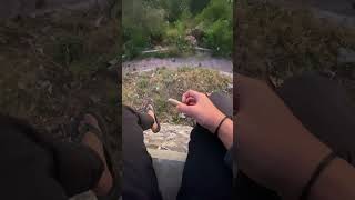 Download lagu Aku kepeseng #ngonten #kocak #lucu mp3