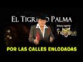 EL TIGRILLO PALMA - POR LAS CALLES ENLODADAS / 20 EXITOS