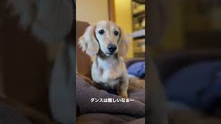 ダンスは難しいなぁ〜💃💦 #shorts