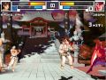 Ryoko Kano Fighter History