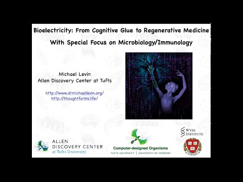 A 1 hour lecture on bioelectricity for a department of parasitology/immunology by Michael Levin
