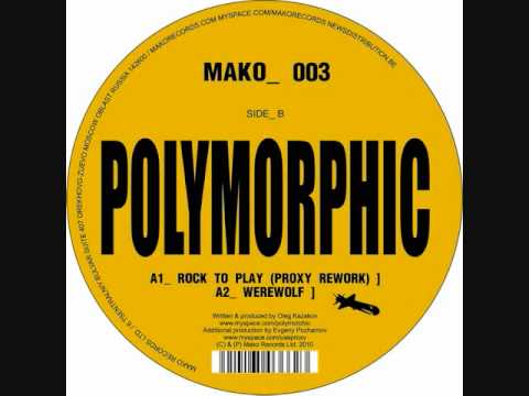 Polymorphic - robodance