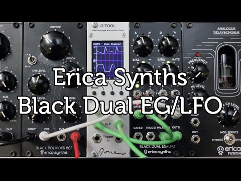 Erica Synths Black Dual EG/LFO overview
