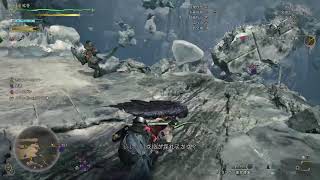 [モンハンワイルズ]珠集め参加型