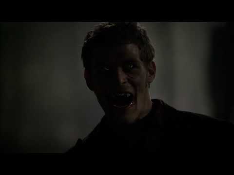 Werewolf/Hybrid Transformations In The Vampire Diaries (the rest of them)