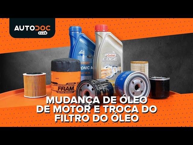 Assista a um guia em vídeo sobre como substituir Filtro de Óleo em DS DS4