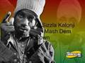 Sizzla Kalonji- Mash Dem Down