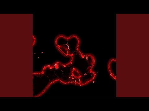 Fällst du für mich (feat. SWIN)