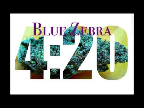 Famous Dex Type Beat X Future Type Beat X808 Mafia Type Beat X Lol Uzi Vert Type Beat“Blue Zebra”