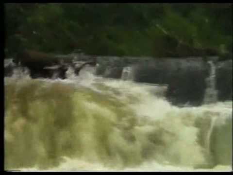 LIFFEY DESCENT Tutorial Part II