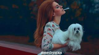 Lana Del Rey - Don&#39;t Let Me Be Misunderstood (Lyrics)