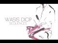 Dans L'arène - Wasis Diop