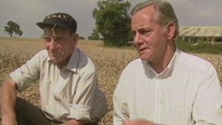 Mysterious Worlds - Crop Circles: In Search of a Sign