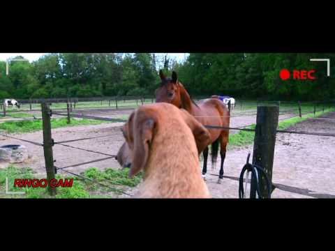 video frame placeholder