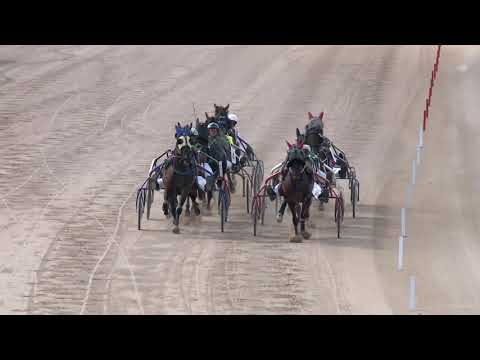 2019.08.17. 04. futam - ZÖLD KIRÁLY HENDIKEP