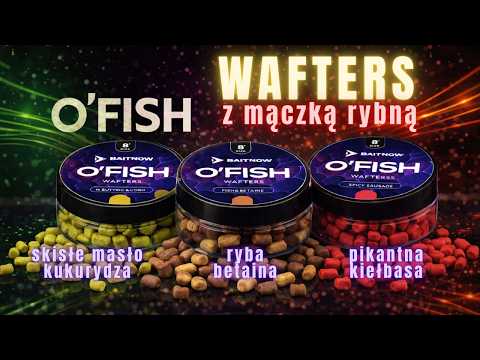 BAITNOW - Wafters Method Feeder O'fish Betaine 8 mm 24 g