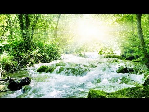 Ich brauche Gottes Eingreifen wegen Problemen mit Finanzen oder Arbeitsplatz