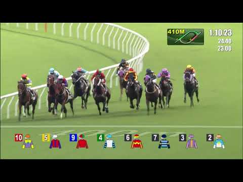 19/9/2021 (43) Entrusted - A Badel