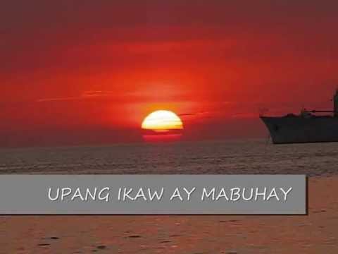 Spinach at kintsay pagbaba ng timbang Pagkain para sa pagbaba ng timbang balita