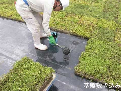 屋上緑化テラスってどうやって作るの？尊重すべき利点とルールは何ですか?  庭園