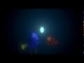 Finding Nemo Angler Fish Scene