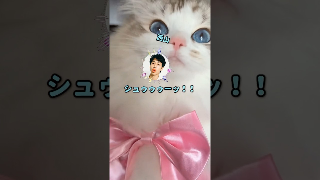 【スカッと】「落ちこぼれでもエリートに勝てる！」銭無JAPANの快進撃