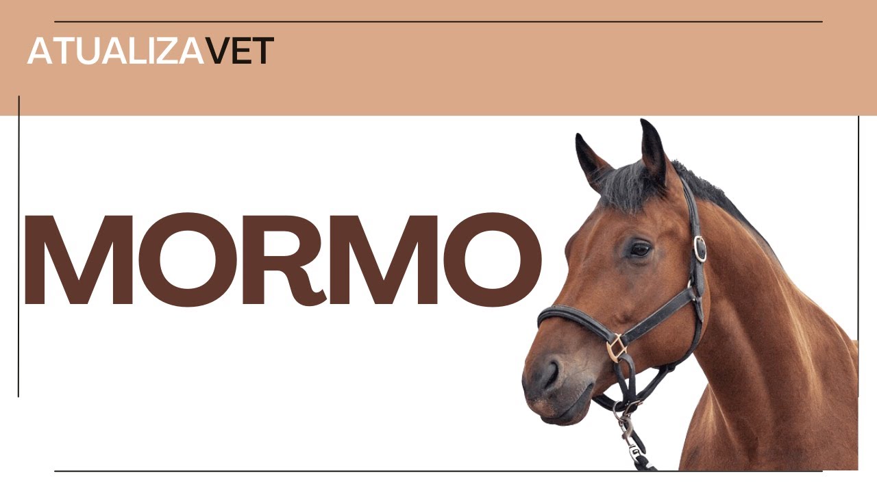 Mormo - AtualizaVet