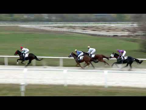 2020.11.15. 02. futam - MA-HILL HENDIKEP (V.o.) (szintetikus pálya)