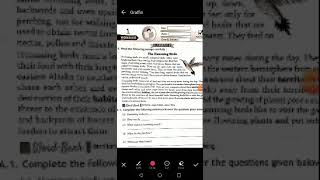 Eng - Bravia-section (A) Hummingbird. 13.07.20