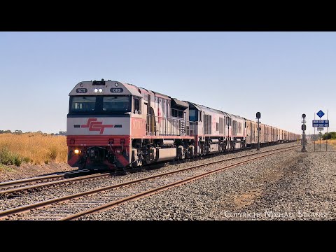 SCT 2PM9 Mixed Freight & Steel Train With Three Diesel Locomotives (1/3/2024) - PoathTV Railways