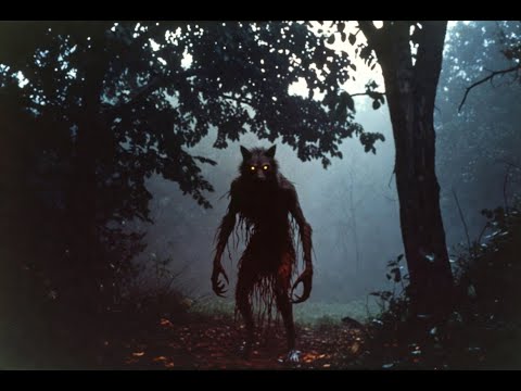 LOBISOMEM NOS CANAVIAIS DE PITANGUEIRAS - SÃO PAULO