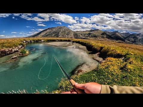New Zealand’s High Country Spring Creeks Are the ultimate Fly Fishing Paradise! ￼
