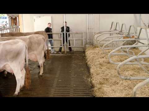 RBW Image Video 2017