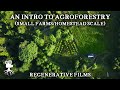 The Incredible Benefits Of Agroforestry On Small Farms Introduction To Agroforestry