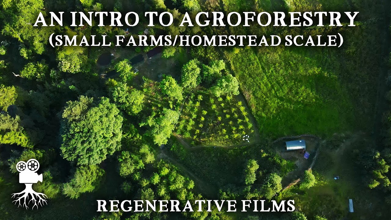 The Incredible Benefits of Agroforestry on Small Farms | Introduction to Agroforestry