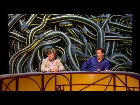 QI XL - H16 - History
