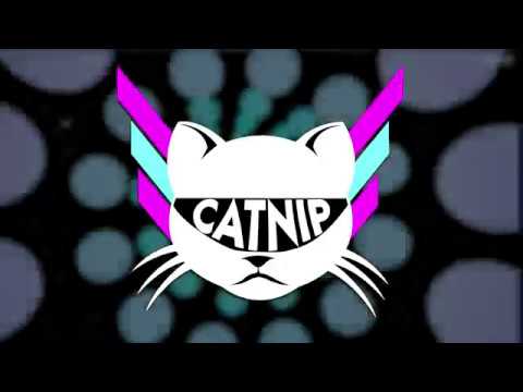 Catnip youtube-video