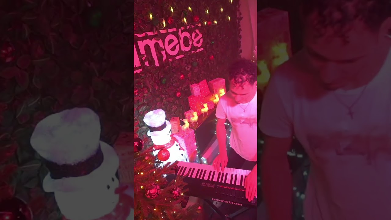 Live Mashup und Keyboard: I Gotta Feeling & Blinding Lights