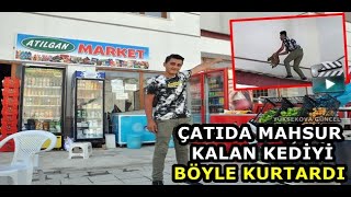 Yüksekova: Çatıda Mahsur kalan Kedi’yi Böyle Kurtardı