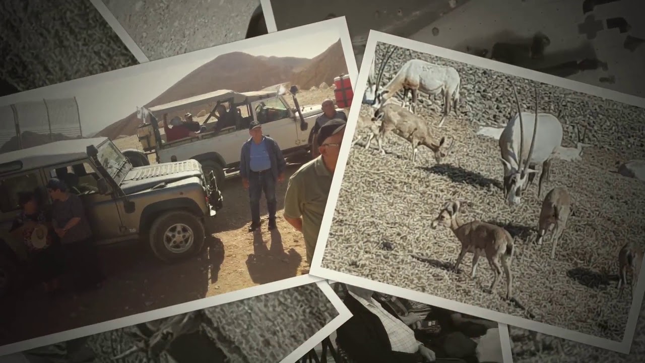 אילת דצמבר 2017