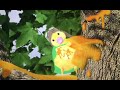 Ming Ming Gets Stuck In Tree Sap