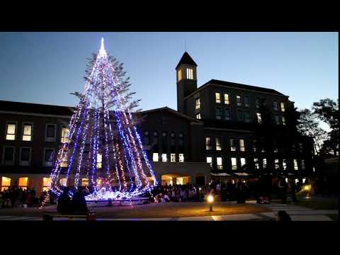 教育学科 クリスマスツリー点灯式