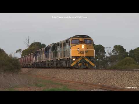 FIVE C's on Massive 101 wagon SSR Grain Train in South Australia