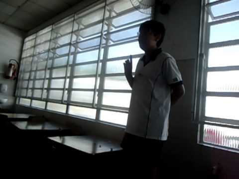 Bruno Gomes cantando sou foca.