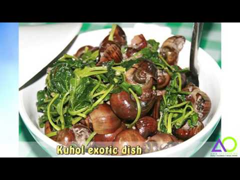 download lagu mp3 mp4 Basic Ingredients Of Native Delicacies, download lagu Basic Ingredients Of Native Delicacies gratis, unduh video klip Basic Ingredients Of Native Delicacies