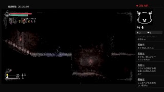 ＃4【salt and sanctuary】LEMONed　初見