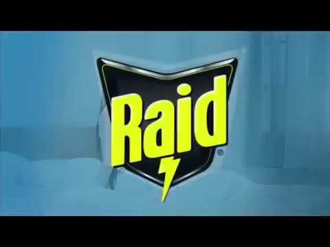 Raid