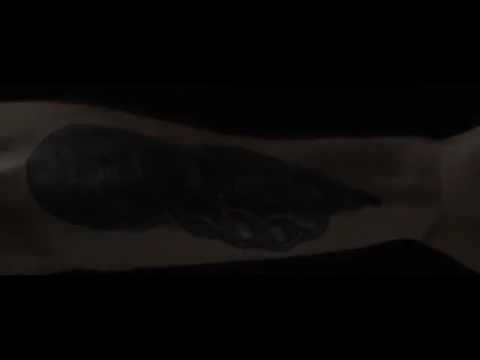 Stresi - Lambo (explicit)