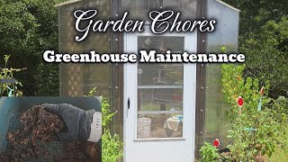Greenhouse in a Heatwave! Worm Care & Organic Grow Bag Refresh #greenhouse #gardeningtips  #garden
